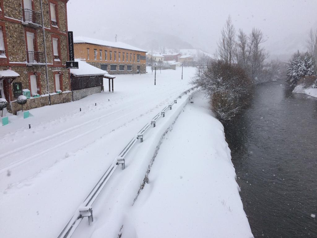 Fotos: La nieve tiñe de blanco la provincia