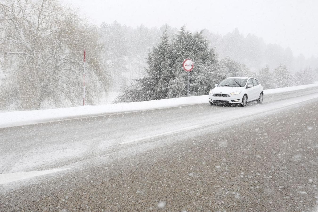 Fotos: La provincia, bajo la nieve