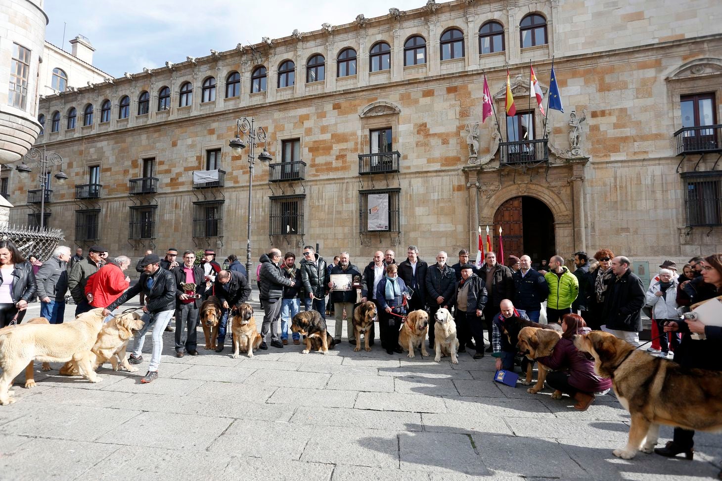 Acto de entrega de premios del Campeonato de León para Mastín 2018