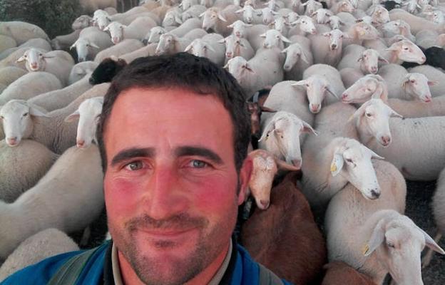 'Deme' González en el campo rodeado de sus ovejas. 