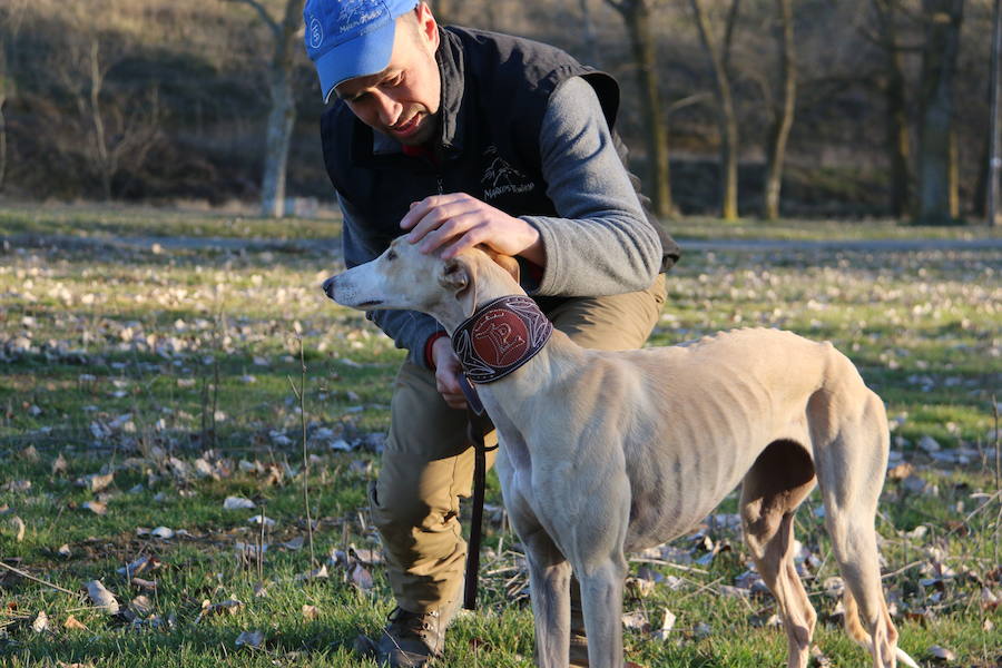 La leonesa Chaparra ha permitido a León colarse en el medallero del Nacional de Galgos 50 años después