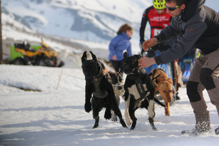 Fotos: Vegarada, capital del mushing