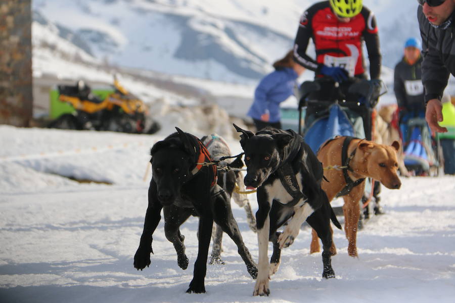 Fotos: Vegarada, capital del mushing