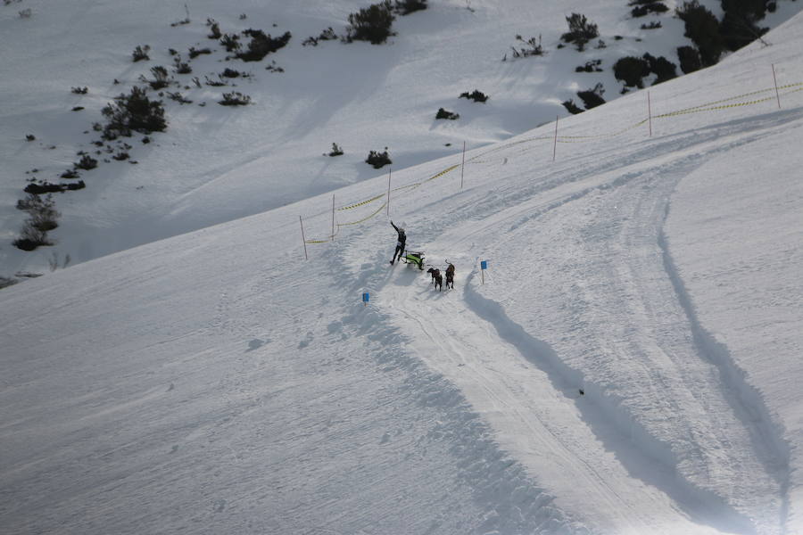 Fotos: Vegarada, capital del mushing