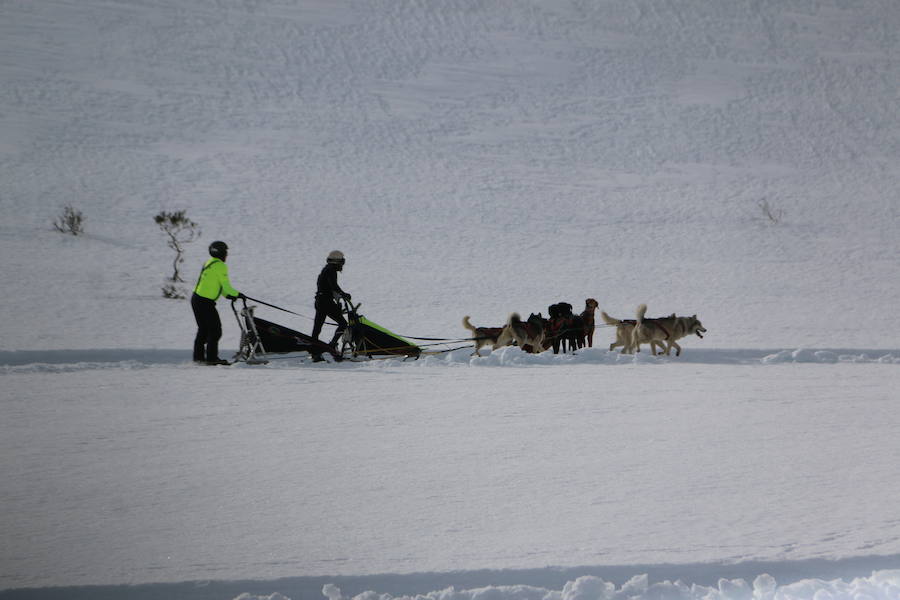 Fotos: Vegarada, capital del mushing