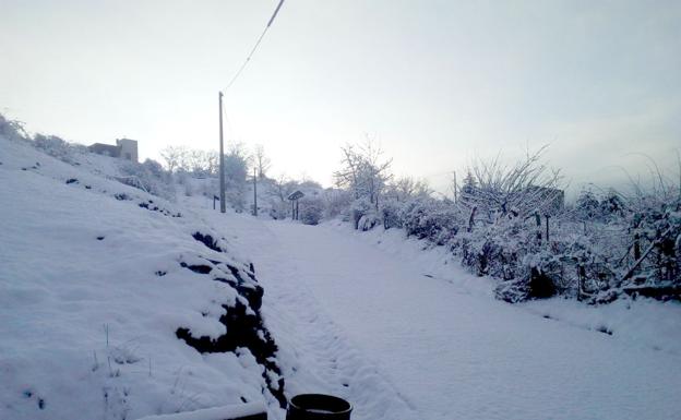 Galería. Los pronósticos indican que será una de las últimas nevadas de la caidas en la provincia de León.