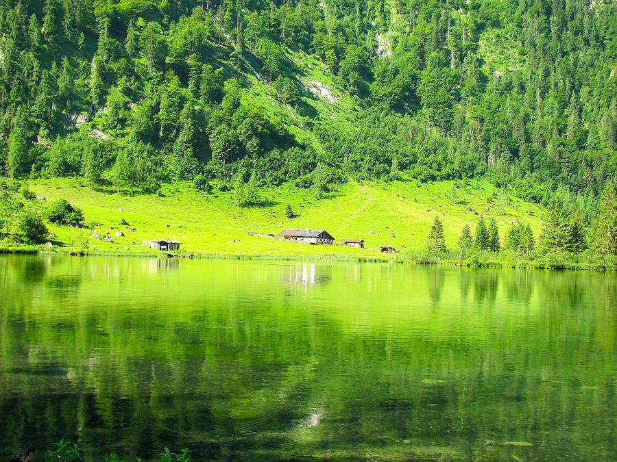 Bavaria, Alemania | A los pies de los Alpes y cerca del castillo Neuschwanstein, es un auténtico entorno sacado de un cuento de hadas. Ideal para practicar senderismo y, para los más atrevidos, hasta nadar en algún lago.