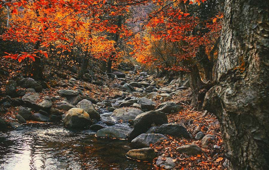 Bran, Rumanía | Más conocida como la región del conde Drácula, esta zona es ideal para acampar, especialmente para los amantes de las leyendas e historias de terror a la luz de la hoguera. Es la perfecta combinación entre ambiente y naturaleza, cerca del imponente castillo del siglo XIV del famoso vampiro. Hay incluso una zona de acampada llamda 'Vampire Camping' en honor del conocido personaje de Bram Stoker.