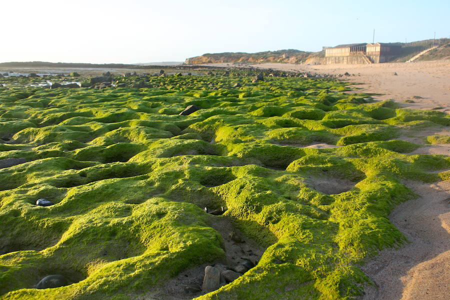 Vila Nova de Milfontes, Portugal | Un destino ideal para los amantes de surf, cerca del mar portugués y su cálido clima, con playas poco frecuentadas donde poder desconectar y disfrutar del deporte y la naturaleza. 