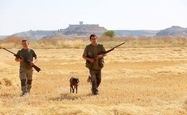 Dos cazadores en una jornada de actividad cinegética. 