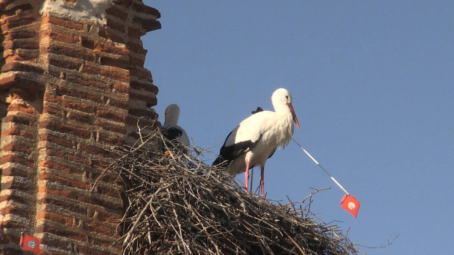Fotos: Las ilustres vecinas de Valverde de la Virgen