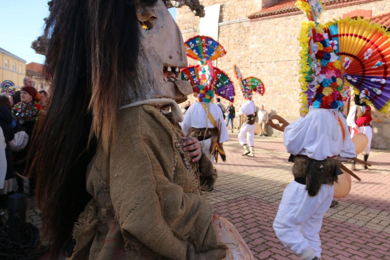 Fotos: Llamas de la Ribera vive su antruejo