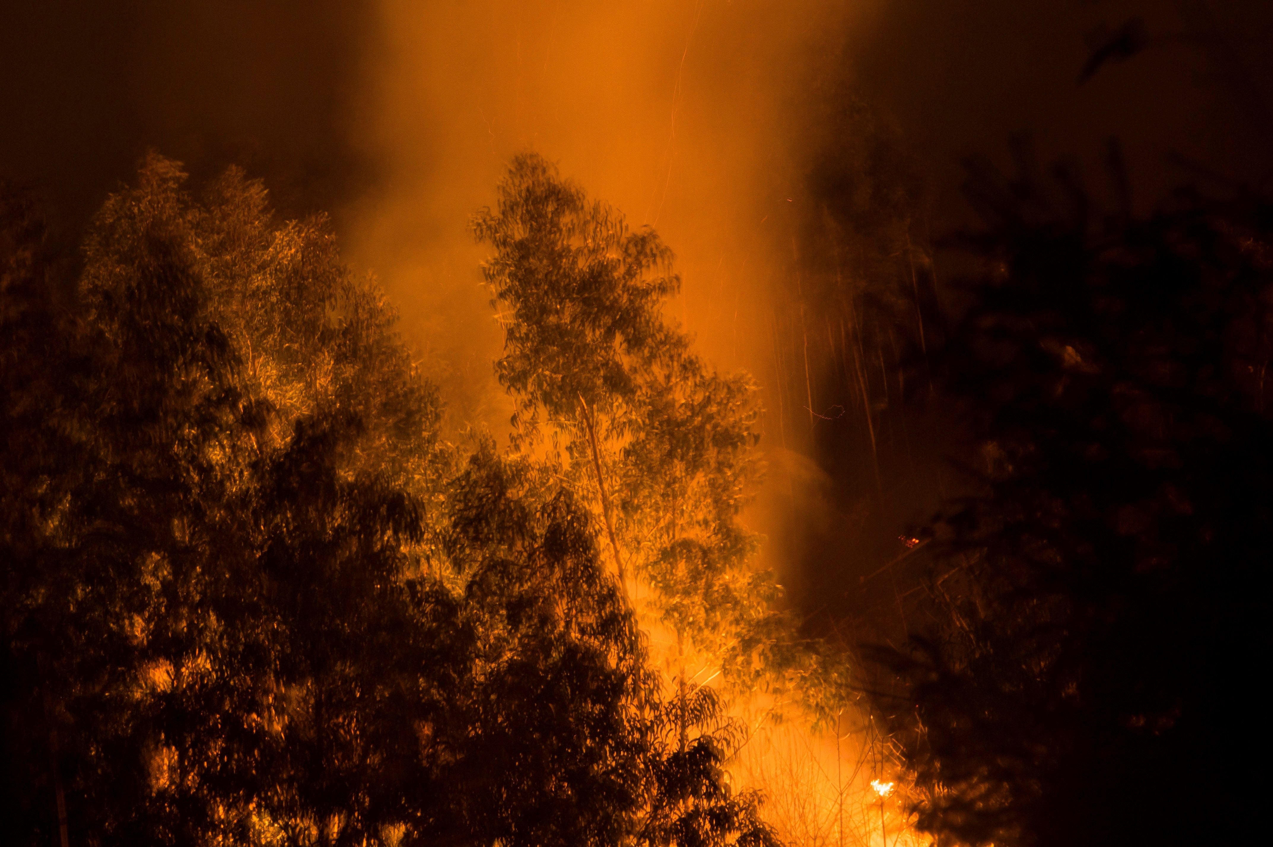 El norte de España se ha visto asolado este fin de semana con más de un centenar de incendios que han afectado duramente a Asturias, Cantabria y Vizcaya. Algunos de ellos ya están controlado, pero, en el Principado, 99 de ellos aún continuan en activos; mientras que en Cantabria el número de incendios activos se ha rebajado de 21 a 17, de un total de más de 60 que fueron provocados en la comunidad autónoma.