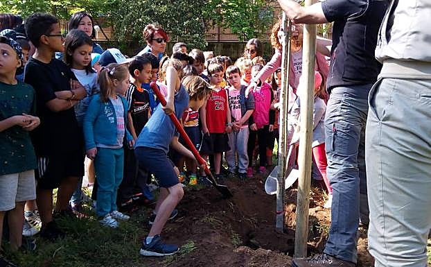 Plantación de árboles en Ponferrada.