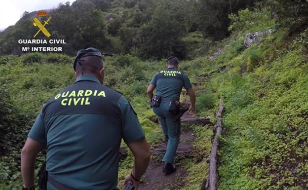 Dos agentes durante su jornada. 