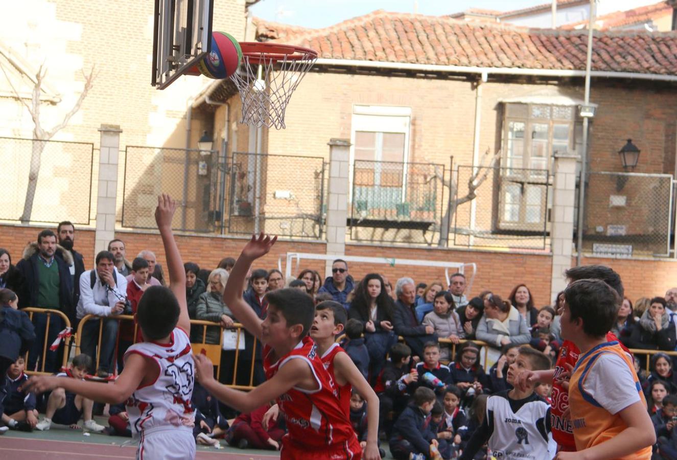 Fotos: La final del Torneo de Minibasket del Colegio Leonés