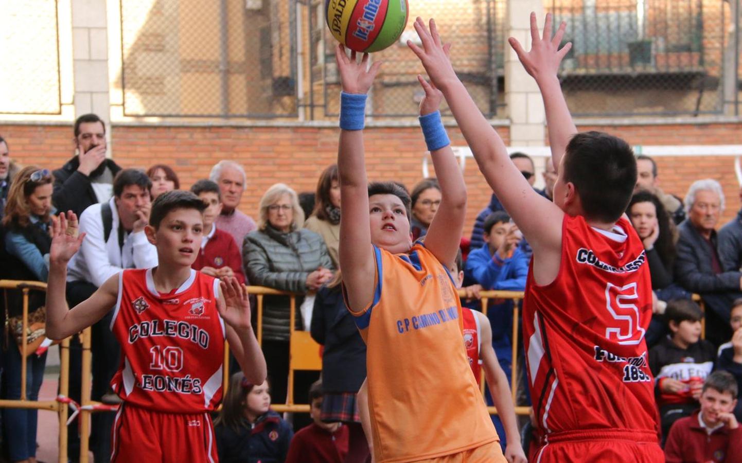 Fotos: La final del Torneo de Minibasket del Colegio Leonés