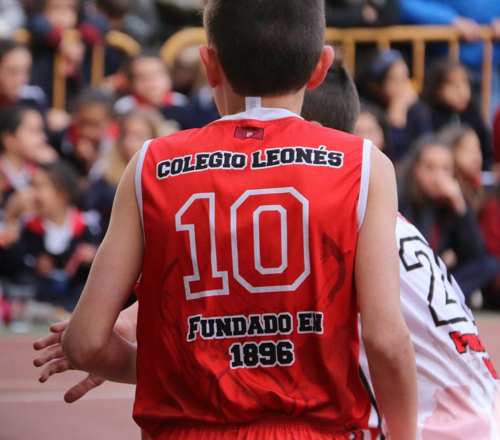 Fotos: La final del Torneo de Minibasket del Colegio Leonés