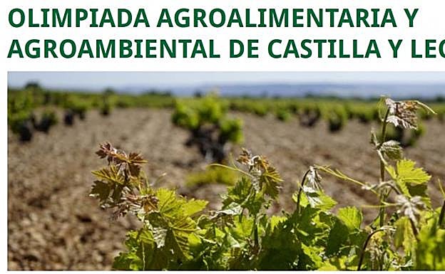 León y Ponferrada acogen la fase local de la V Olimpiada Agroalimentaria