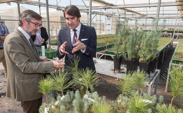 El consejero visita un vivero de árboles.