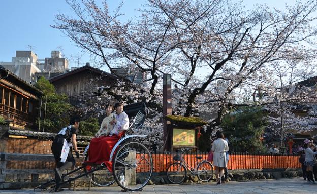 Primavera en Japón, el país se tiñe de rosa con la floración del 'sakura'