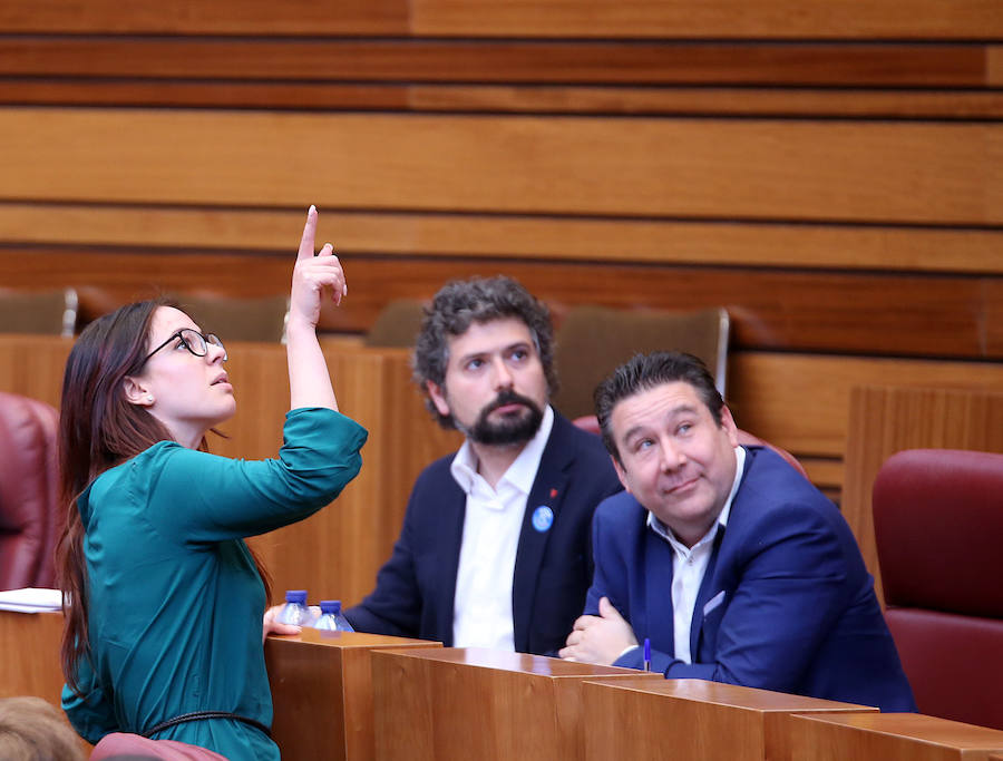 Fotos: Último pleno de la legislatura en las Cortes de Castilla y León