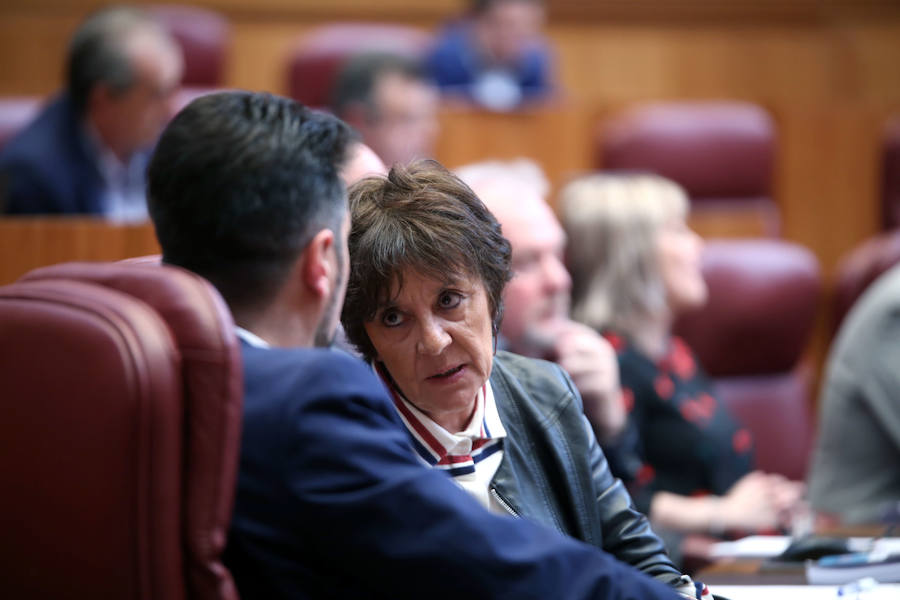 Fotos: Último pleno de la legislatura en las Cortes de Castilla y León