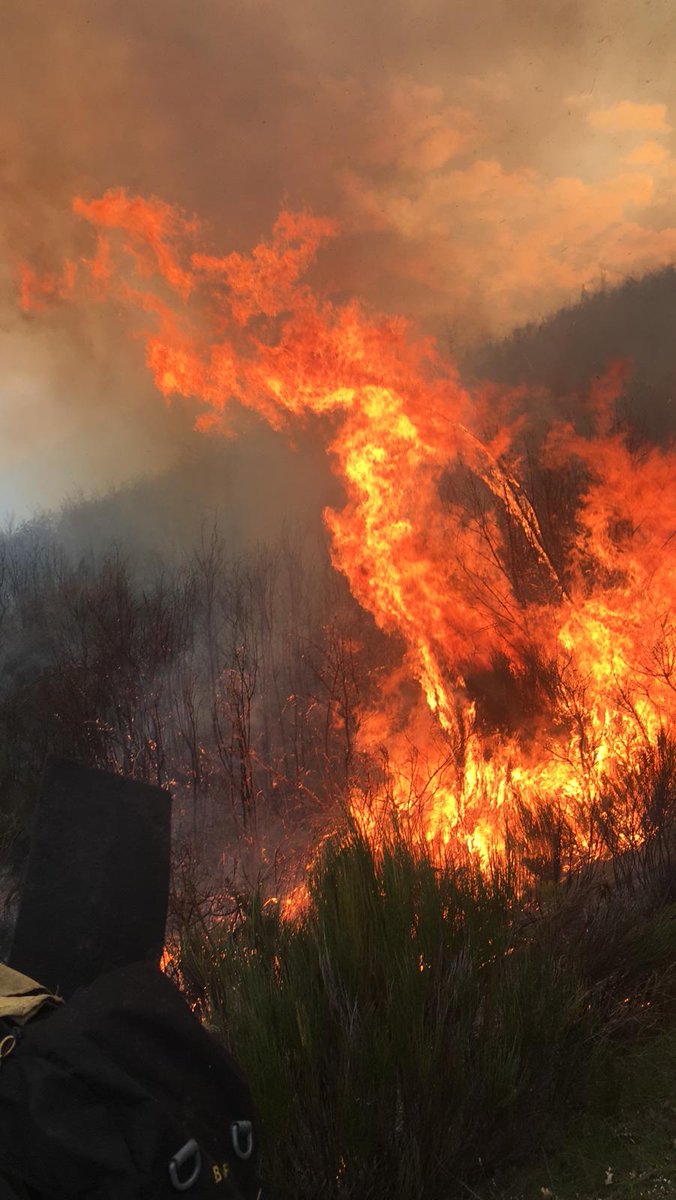 La Junta de Castilla y León ha declarado época de peligro medio de fuegos forestales hasta el 4 de abril