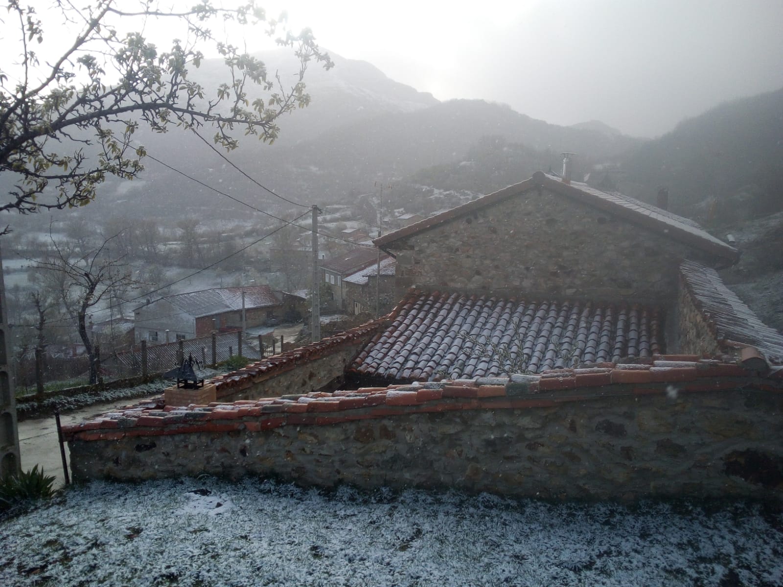 Fotos: León mantiene la alerta amarilla por nevadas