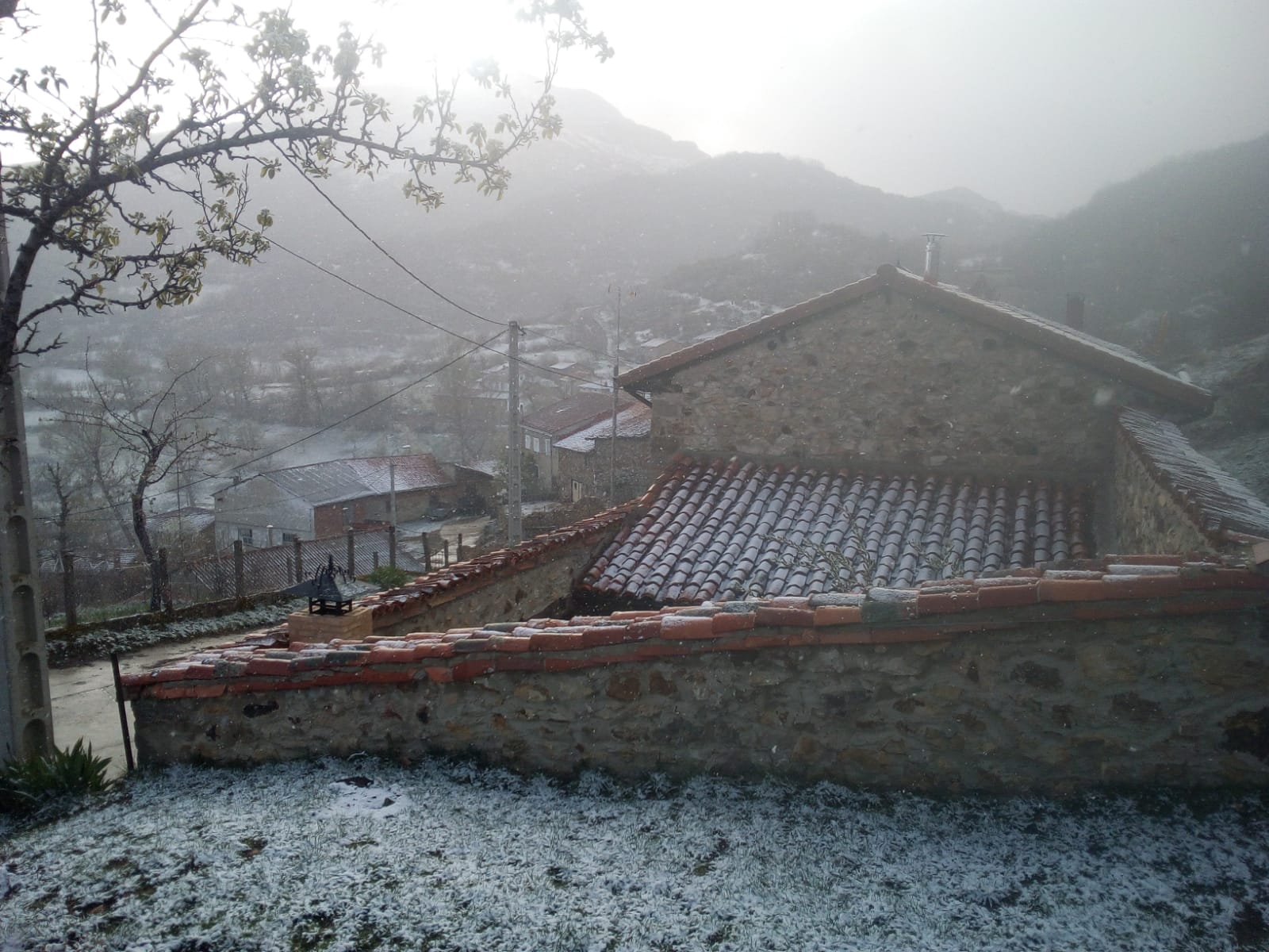 Fotos: León mantiene la alerta amarilla por nevadas