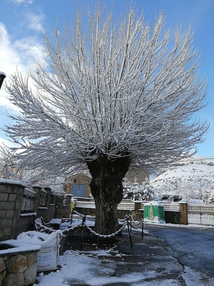 Las estampas invernales se han reproducido en las últimas horas en la provincia de León, en la que la nieve ha regresado a las zonas de montaña