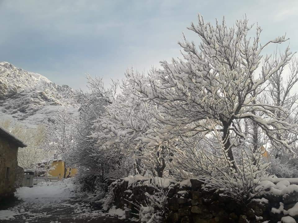 Las estampas invernales se han reproducido en las últimas horas en la provincia de León, en la que la nieve ha regresado a las zonas de montaña