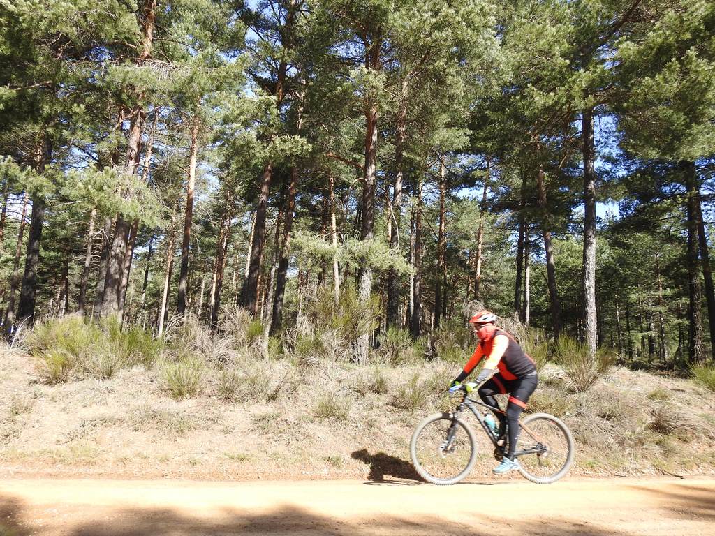 700 corredores se citan en la Power Race 2019 con la presencia de numeroso público y que ha tenido al exprofesional Santiago Blanco Gil como gran protagonista