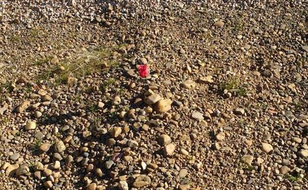 Lugar en el que se encontraría una fosa en el cementerio de León.