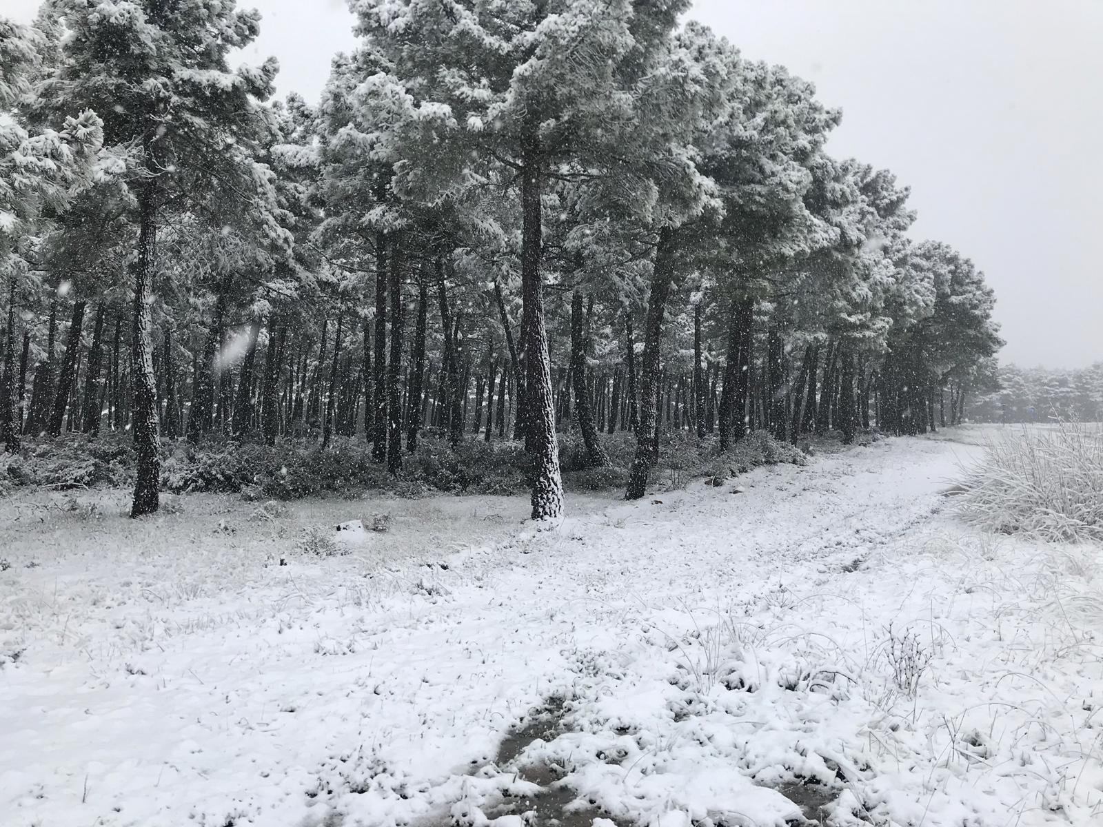 Fotos: La nieve regresa a la provincia