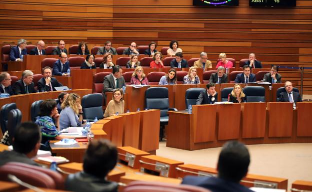 Pleno de las Cortes de Castilla y León.