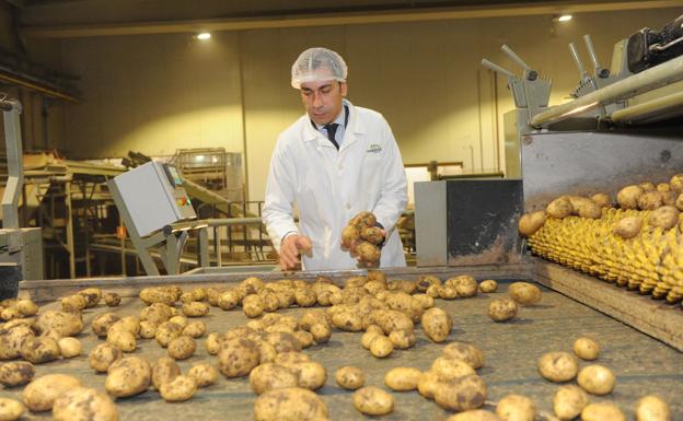 Javier Meléndez, en la factoría patatera de Medina del Campo. 