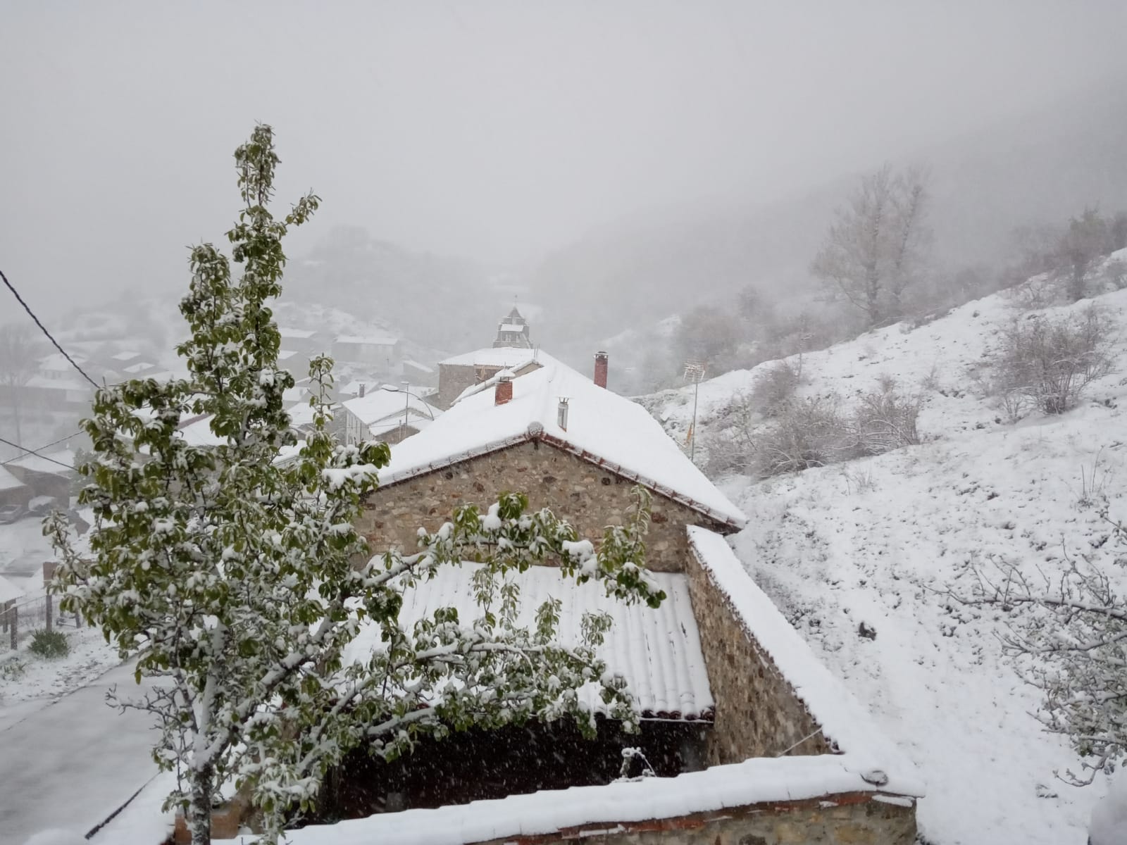 Fotos: La nieve regresa a la provincia