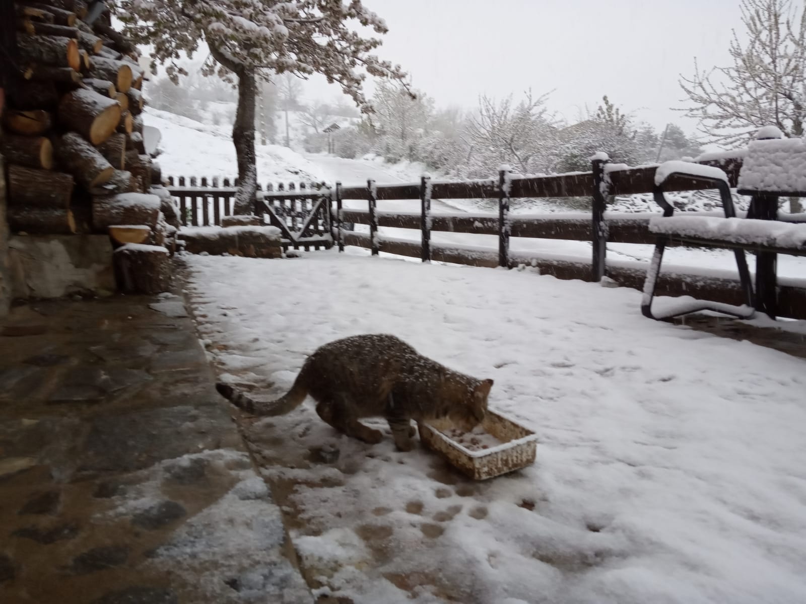 Fotos: La nieve regresa a la provincia