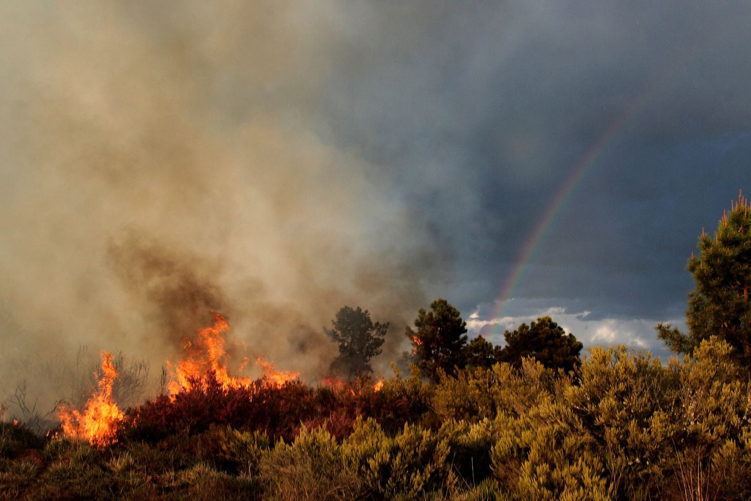 Un rayo provoca un incendio cerca del municipio de Quintana del Castillo