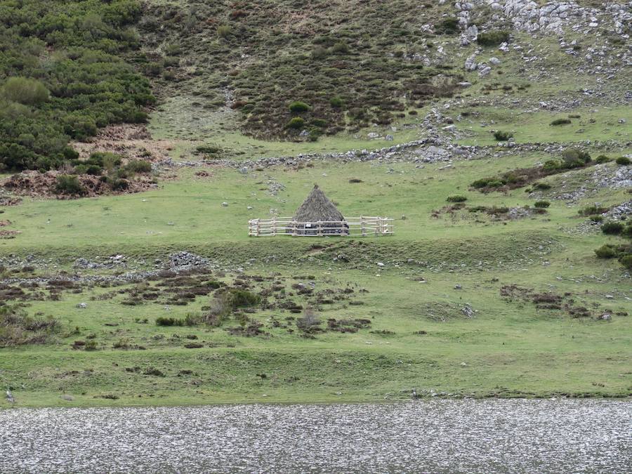 En el triángulo formado entre Isoba, Puebla de Lillo y Cofiñal, el Lago de Isoba y sus cascadas ofrecen un paisaje increíble formado por un antiguo glaciar