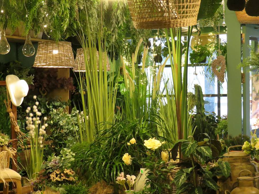 Flores, plantas y regalos a precios inigualables con los que sorprender con un regalo sorprendente y original en este Día de la madre. Cualquier regalo para decoración del hogar está disponible en 'El Capricho'. 