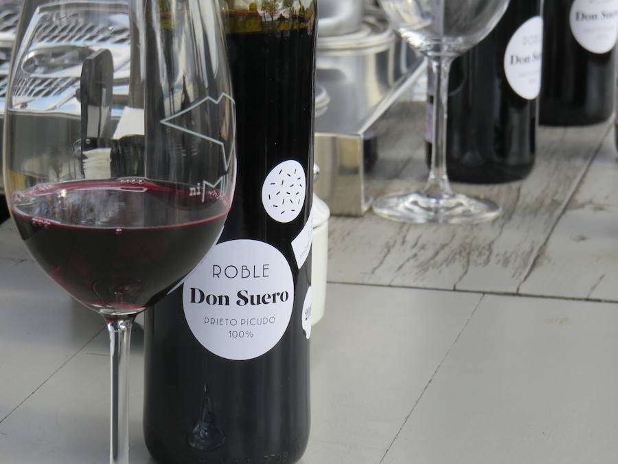 Fotos: Un nuevo vino en el mercado leonés, el Don Suero Roble