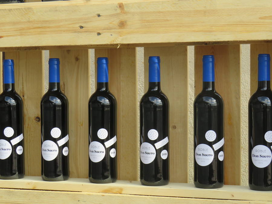 Fotos: Un nuevo vino en el mercado leonés, el Don Suero Roble