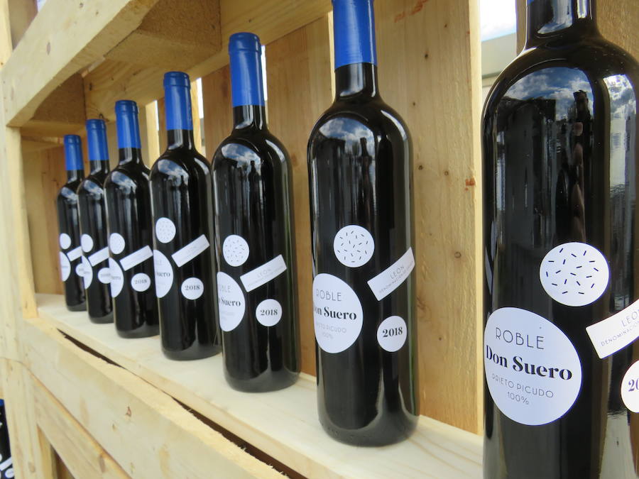 Fotos: Un nuevo vino en el mercado leonés, el Don Suero Roble