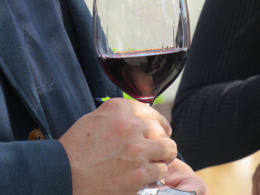 Fotos: Un nuevo vino en el mercado leonés, el Don Suero Roble