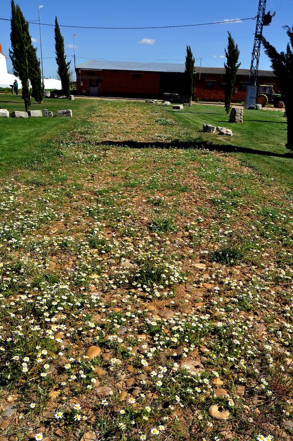 Fotos: Hacendera de Promonumenta en Calzadilla de los Hermanillos