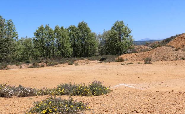 Terreno donde se desarrollará el proyecto.