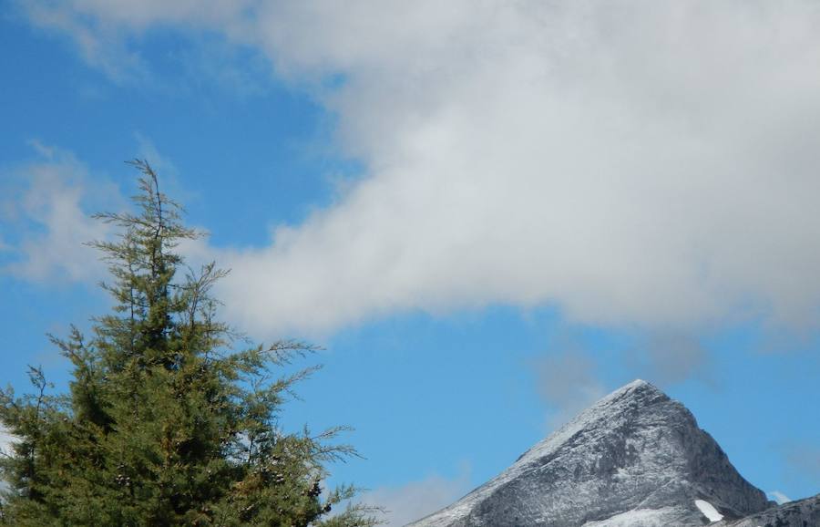 La nieve ha vuelto a la zona norte de la provincia en la antesala de un descenso generalizado de las temperaturas previsto para este jueves.