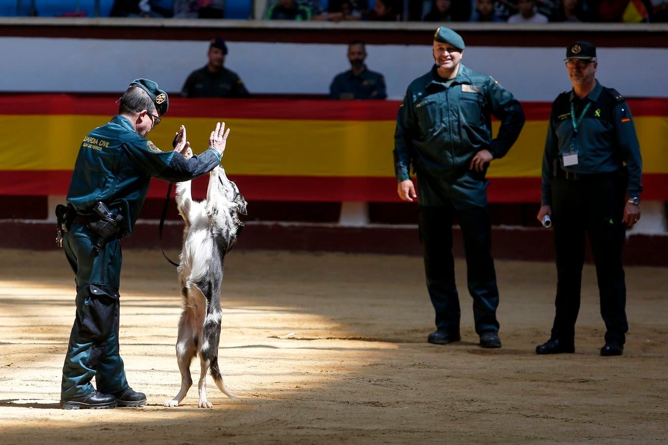 La delegada del Gobierno, Mercedes Martín, visita una exposición de las diversas unidades y especialidades con las que cuenta la Guardia Civil en la Comunidad Autónoma